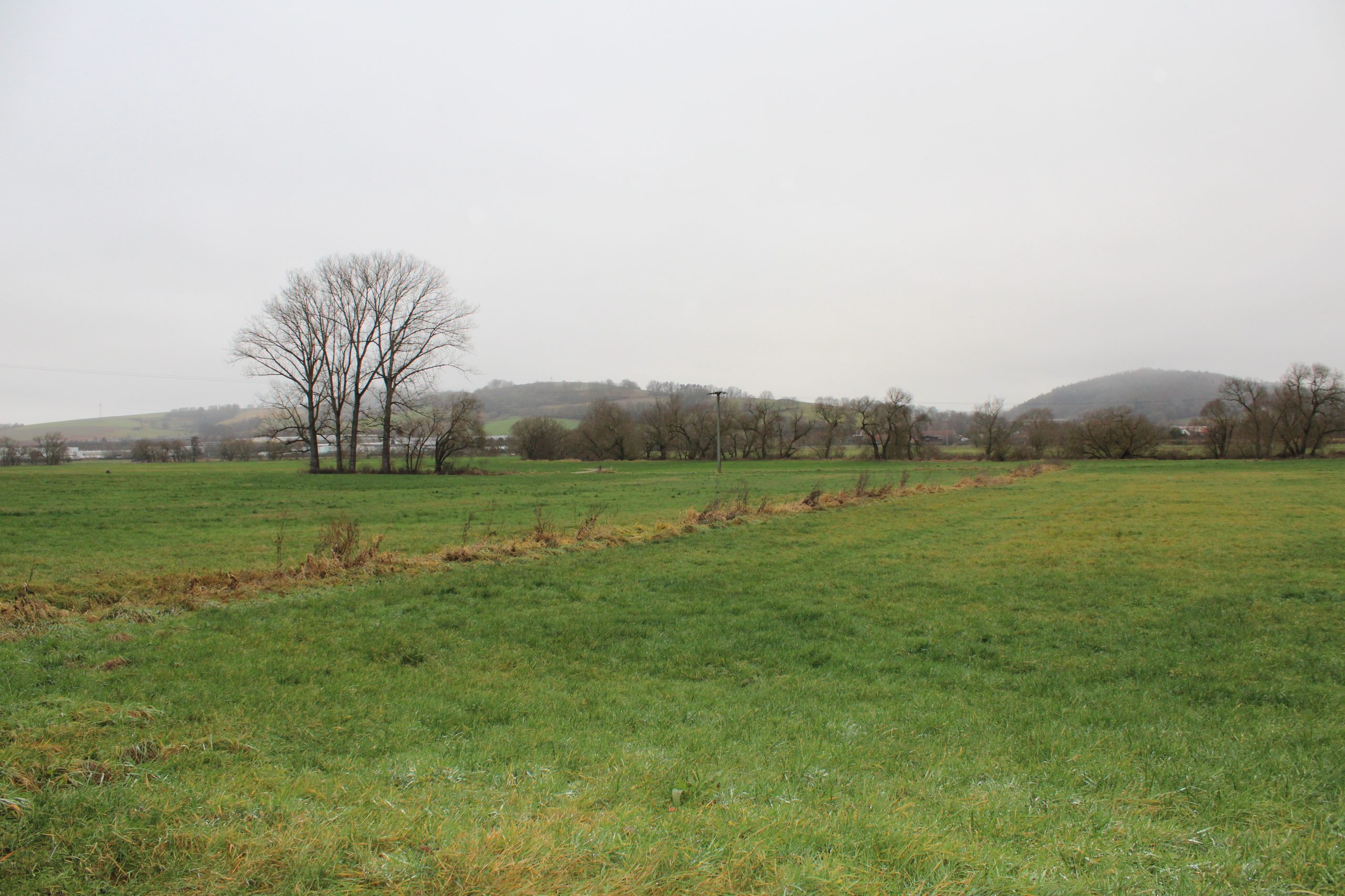 Einfamilienhaus Niederaula gotoimmo.de (16)